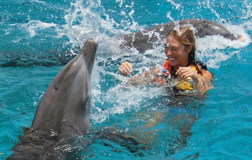 DOLPHIN HOUSE