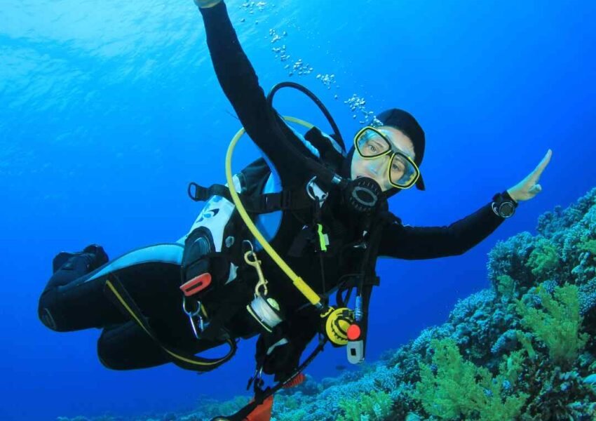 Egypt tours