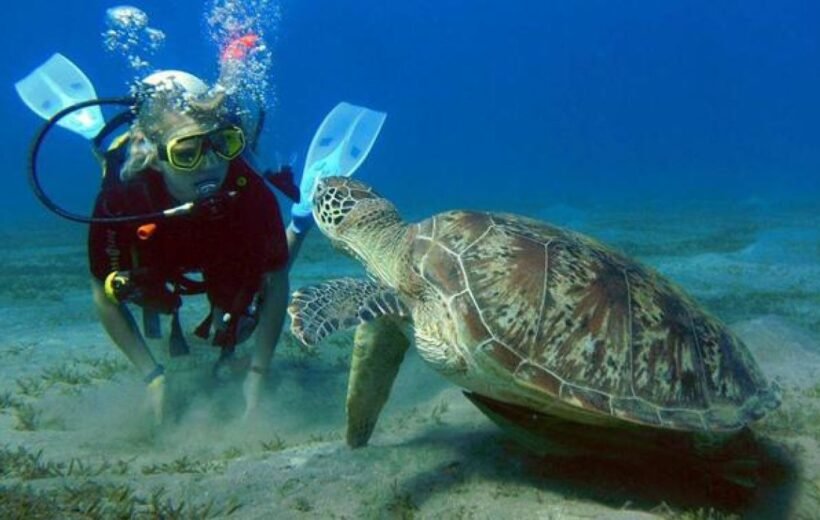 ABU DABBAB (TURTLES BAY)
